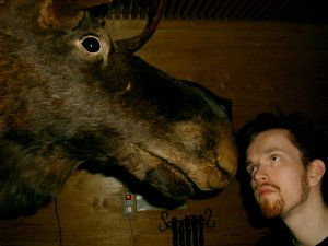 a user uploaded image